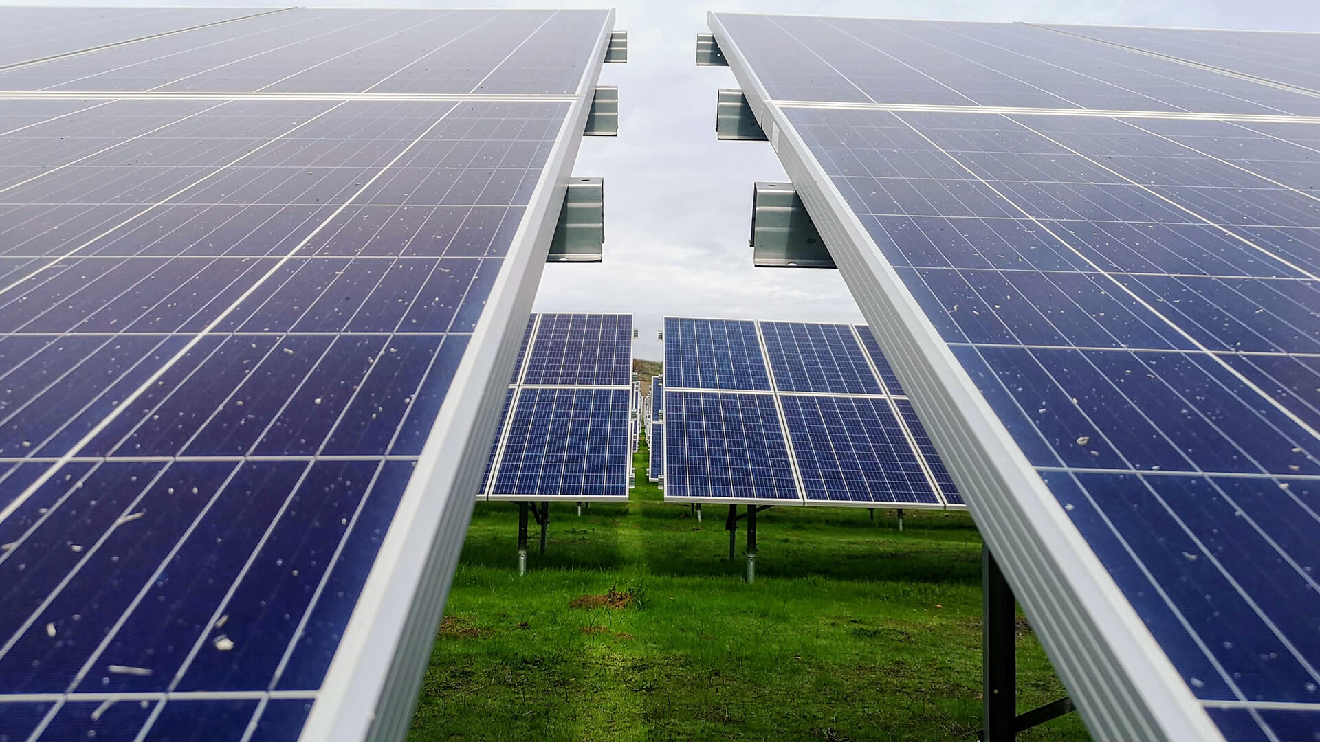 L’énergie solaire, moteur incontesté de la transition énergétique
