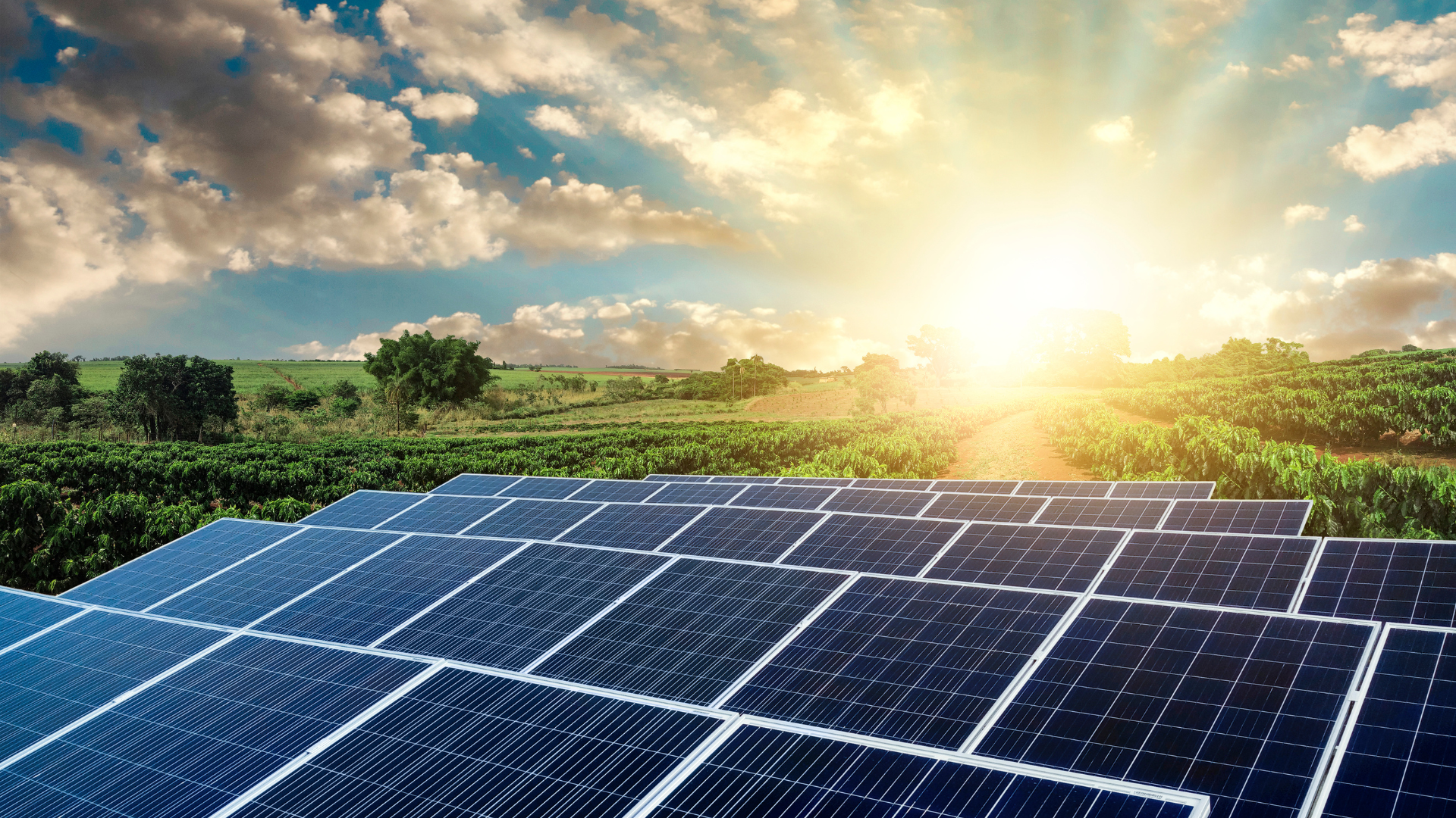 Le photovoltaïque – de la lumière à l'électricité 