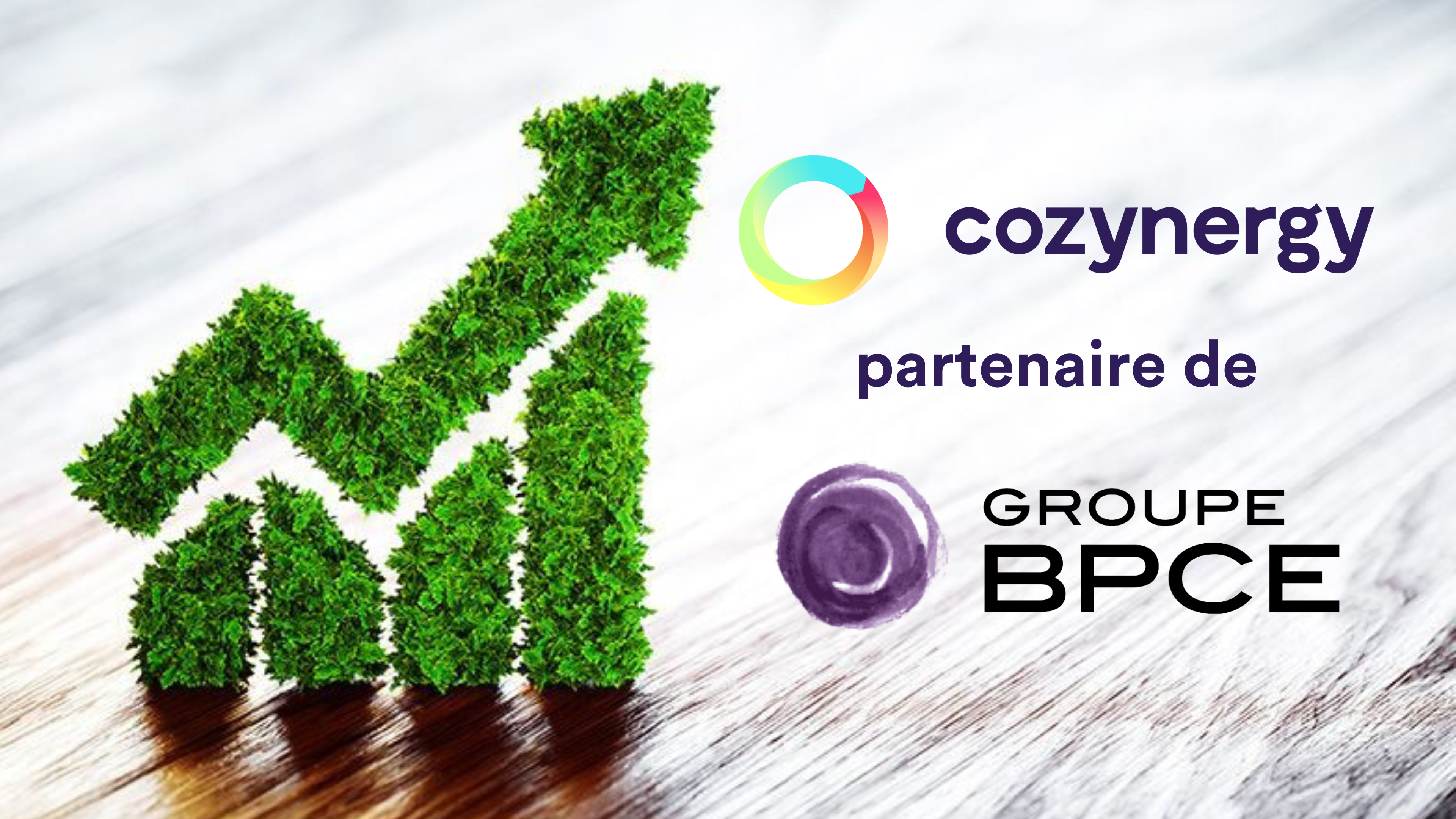 cozynergy renforce partenariat reseau banques populaires caisses epargne