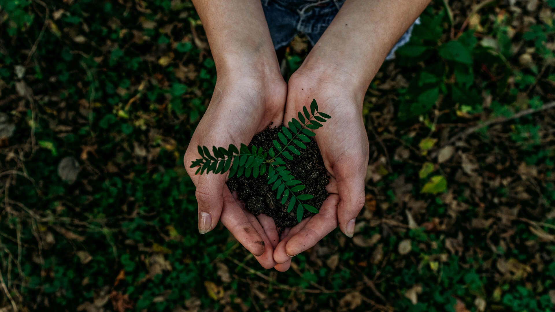 Plan Climat : les annonces de transition écologique