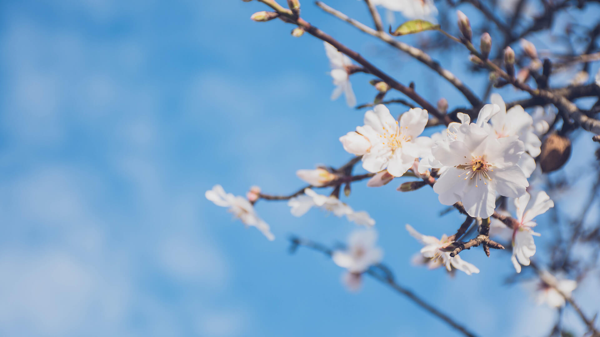 Printemps : ventilation optimale de votre intérieur