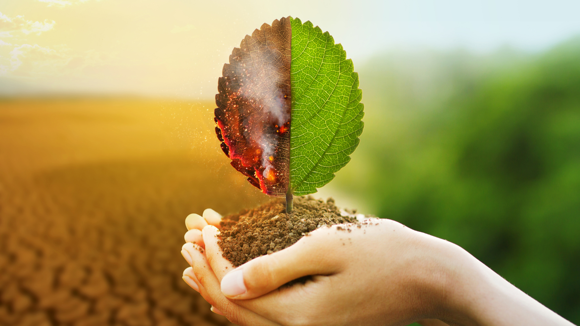 urgence climatique